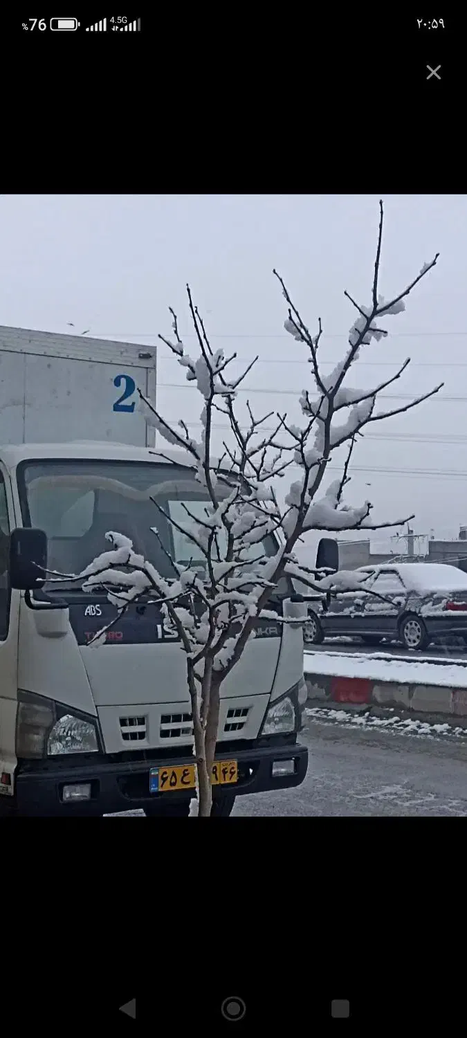 اشیا|کلکسیون اشیاء عتیقه|سنندج, |دیوار