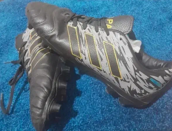 استوک|کیف، کفش، کمربند|همدان, |دیوار