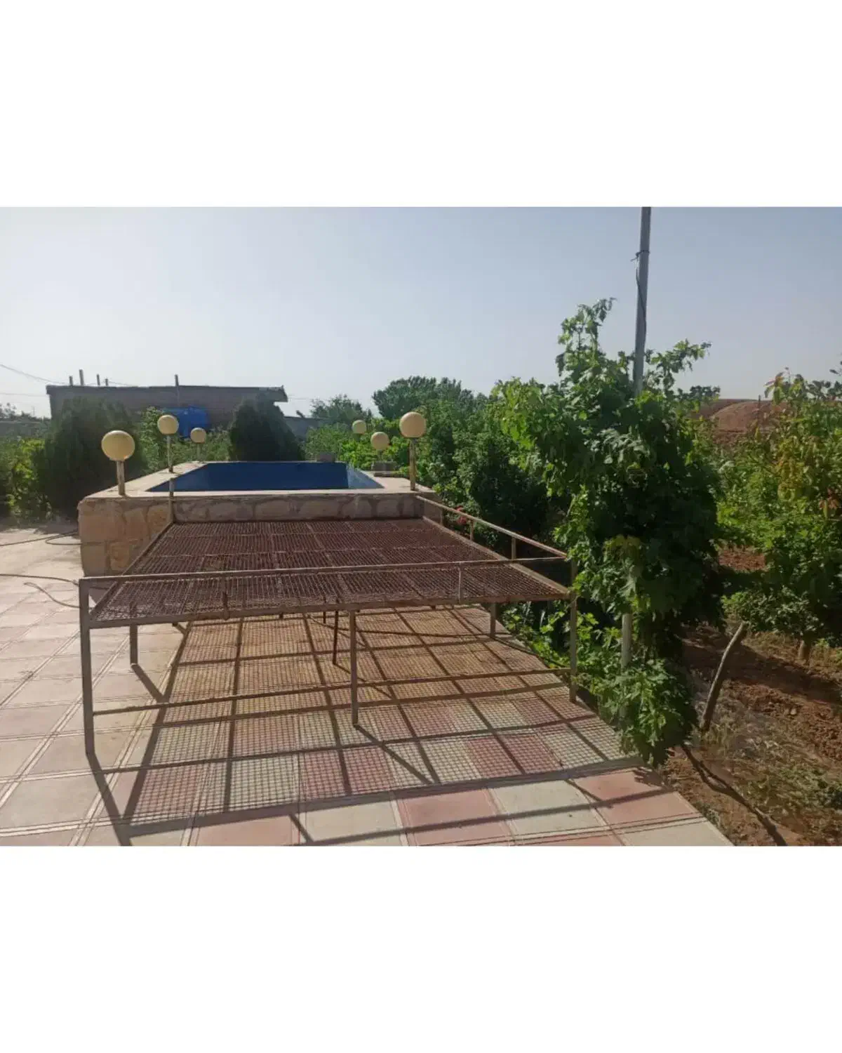 فروش باغ اطراف ریوند ۱.۸۰۰میلیارد املاک خانواده|فروش خانه و ویلا|باشتین, |دیوار