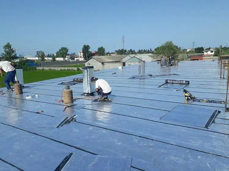 پیشه مهارت.|خدمات پیشه و مهارت|بندر انزلی, پیل علی باغ|دیوار