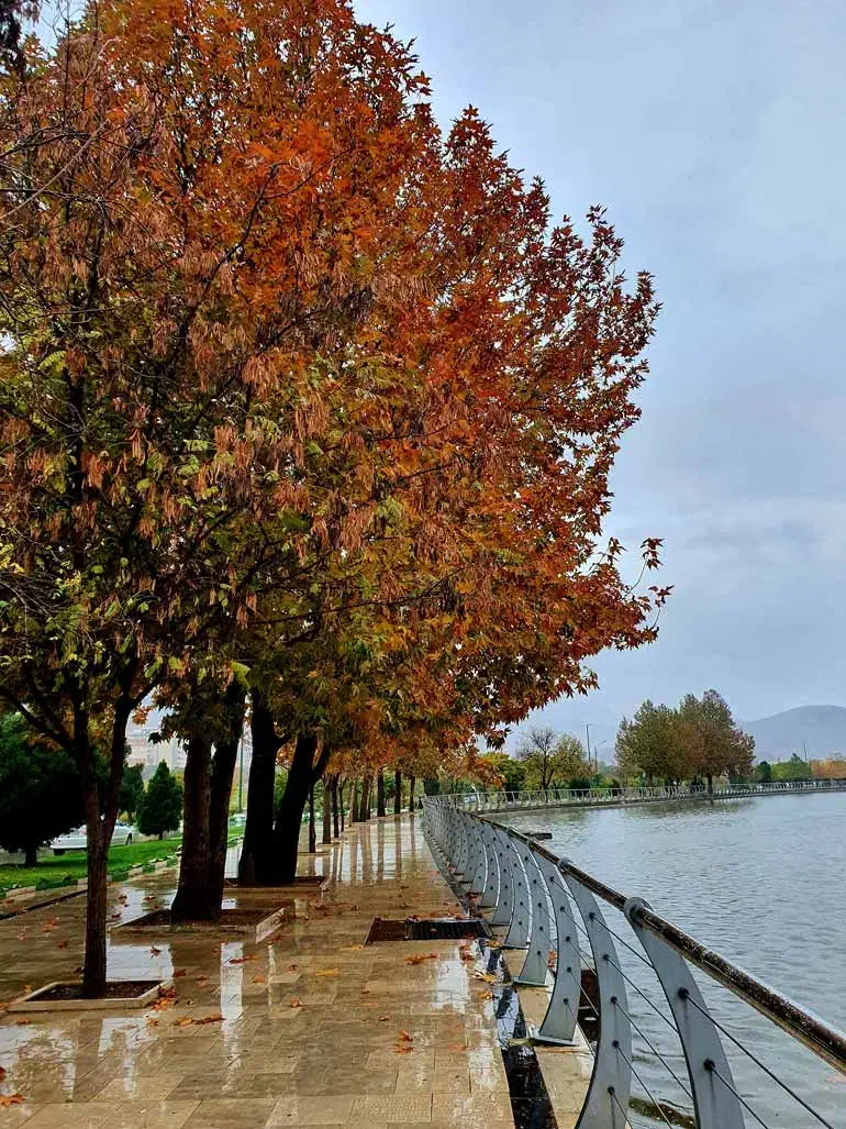 همخونه|اجارهٔ آپارتمان|اصفهان, قهجاورستان|دیوار