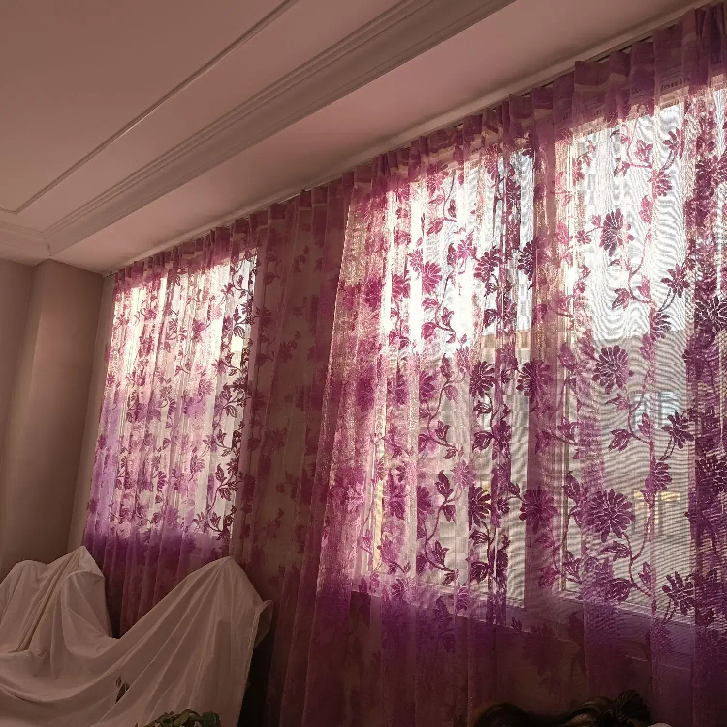 پرده پذیرایی|پرده، رانر، رومیزی|پیشوا, |دیوار