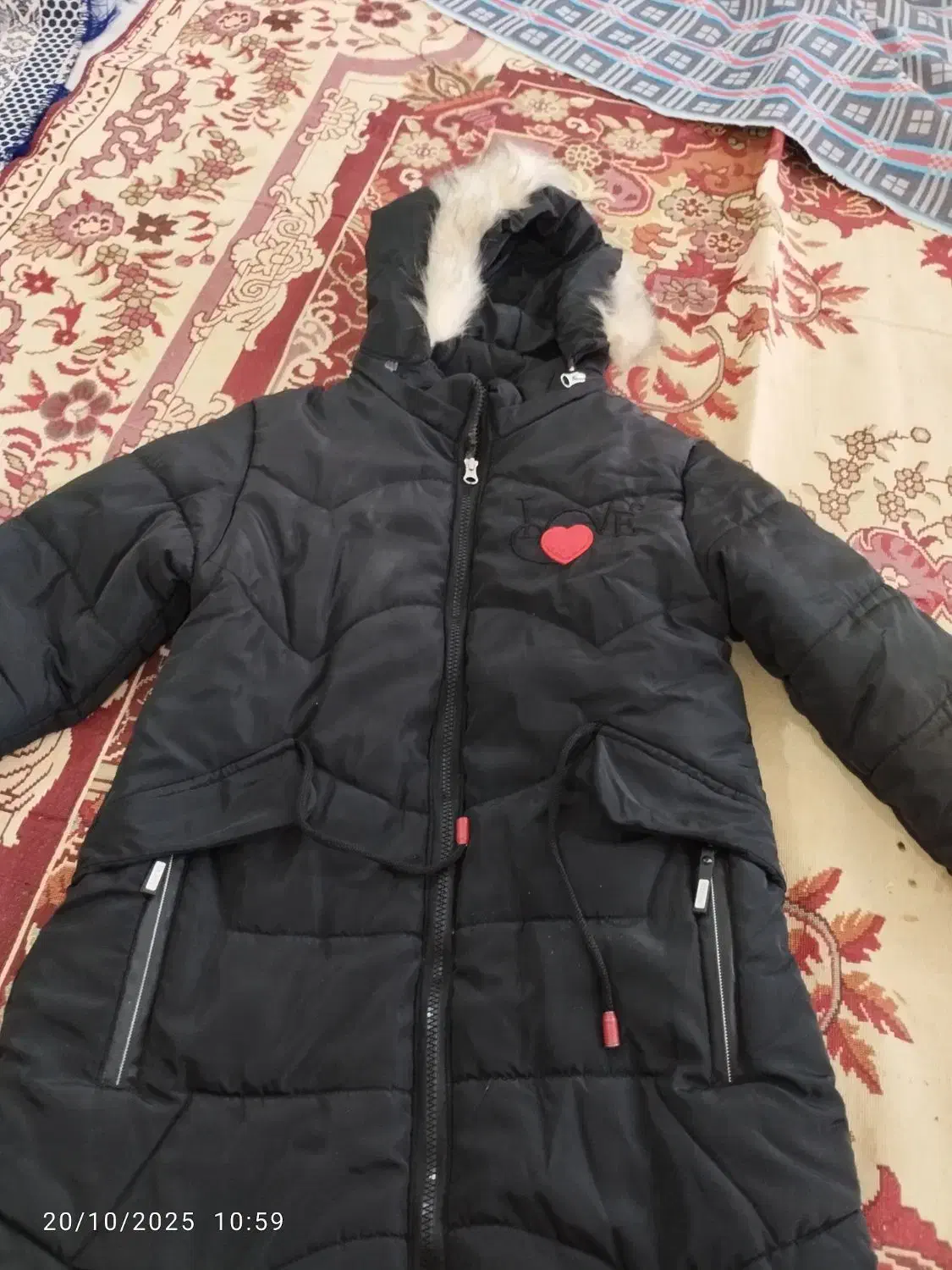 پالتودخترانه|لباس|زابل, |دیوار