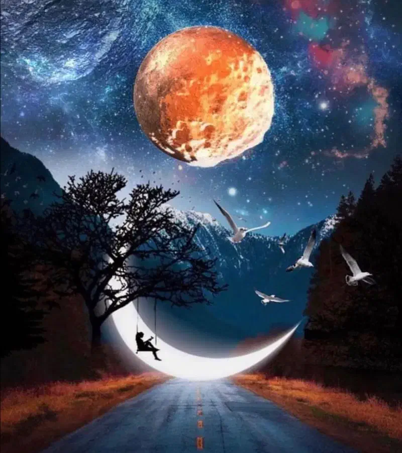 جایزه|کارت هدیه و تخفیف|سهند, |دیوار