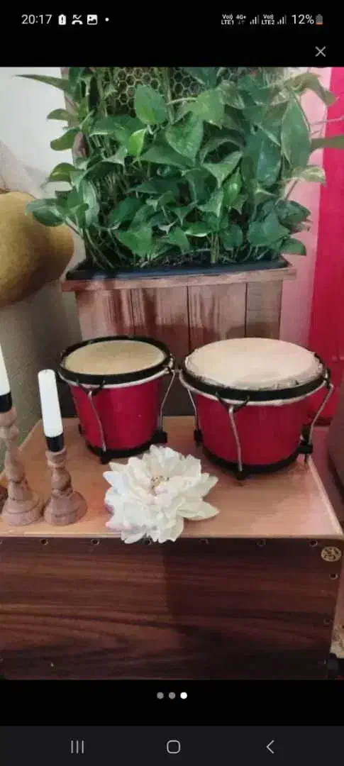 تومبا بنگو بینگو|درام و پرکاشن|کرمان, |دیوار