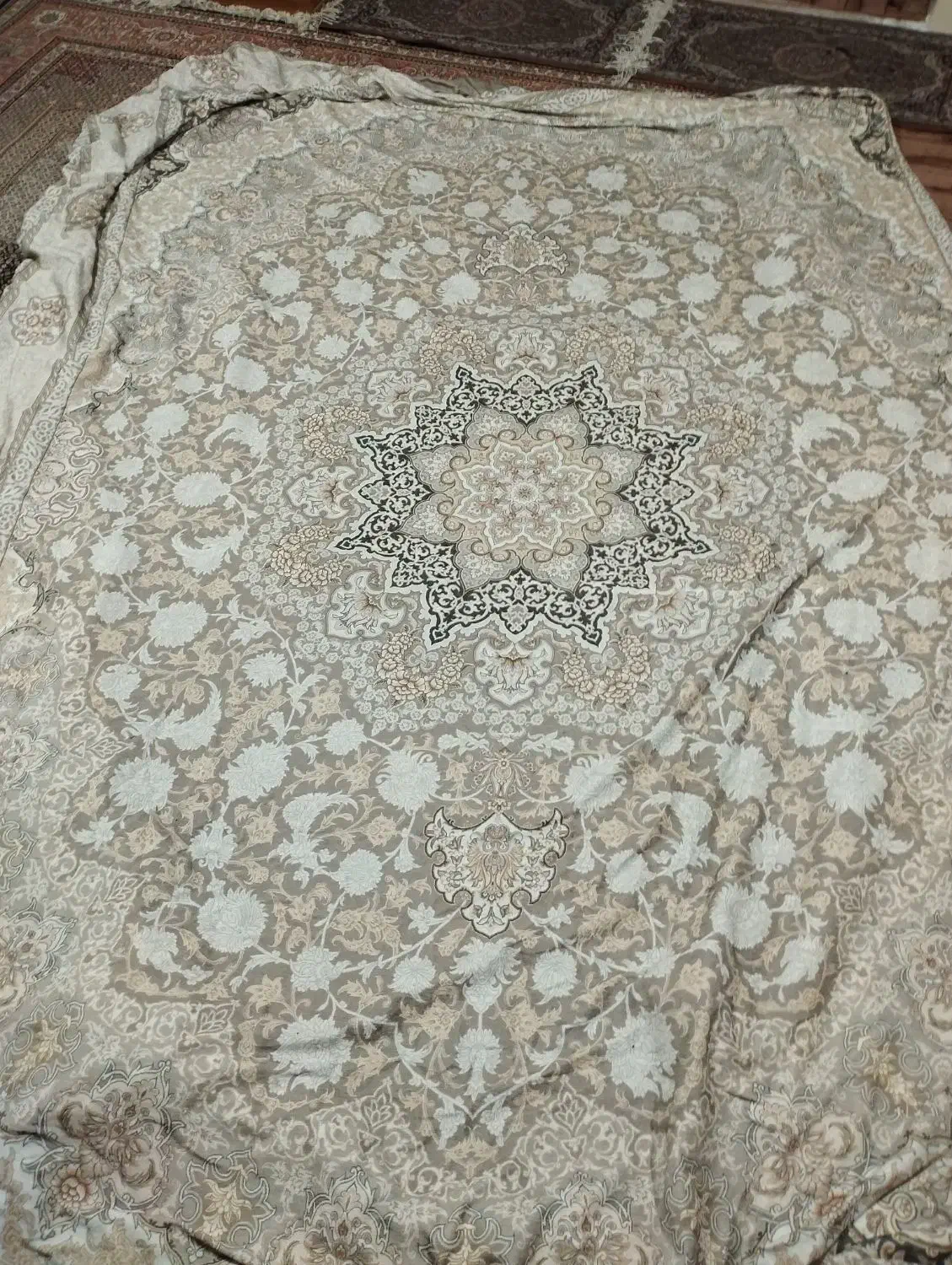 دوتا کاور فرش|روفرشی|اردبیل, |دیوار