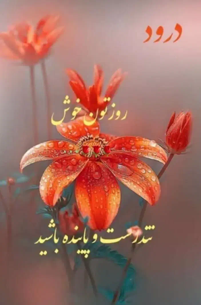 نیازمند  مشاور املاک با کمسیون ۵۰ درصد|استخدام بازاریابی و فروش|لاهیجان, کوی استادان|دیوار