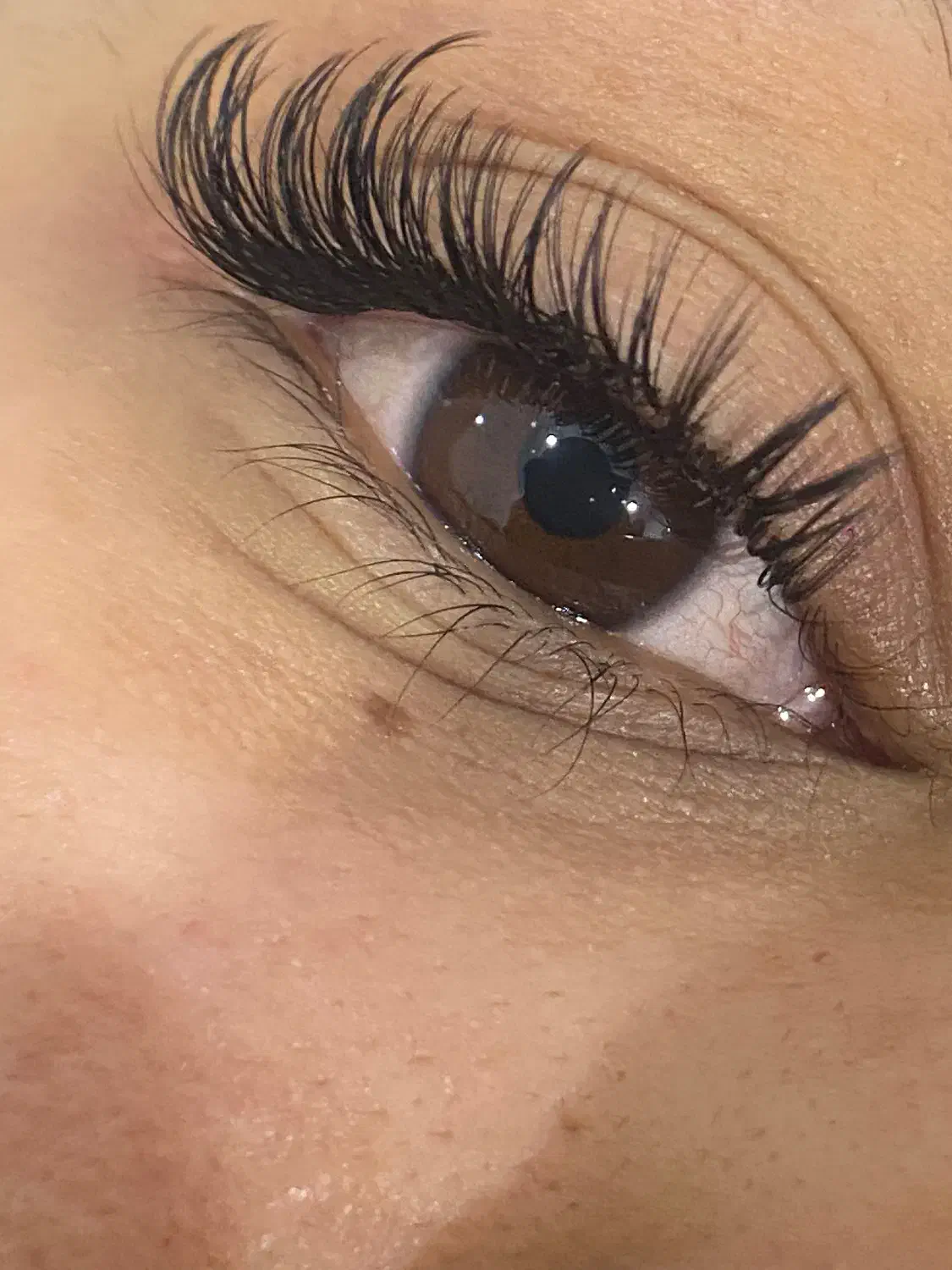 تخفیف روز دختر کاشت مژه|خدمات آرایشگری و زیبایی|بم, |دیوار