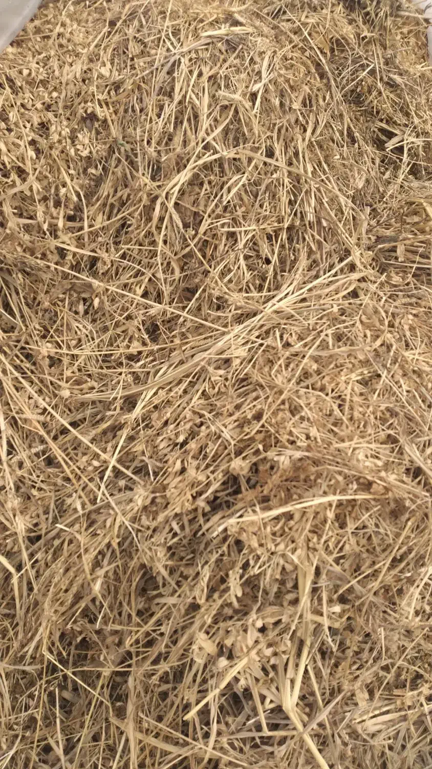 فروش یونجه مرغوب|خدمات باغبانی و درختکاری|اصلاندوز, |دیوار