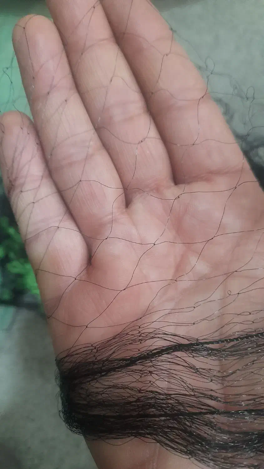 تور ماهیگیری|ماهیگیری|مشهد, رباط طرق|دیوار