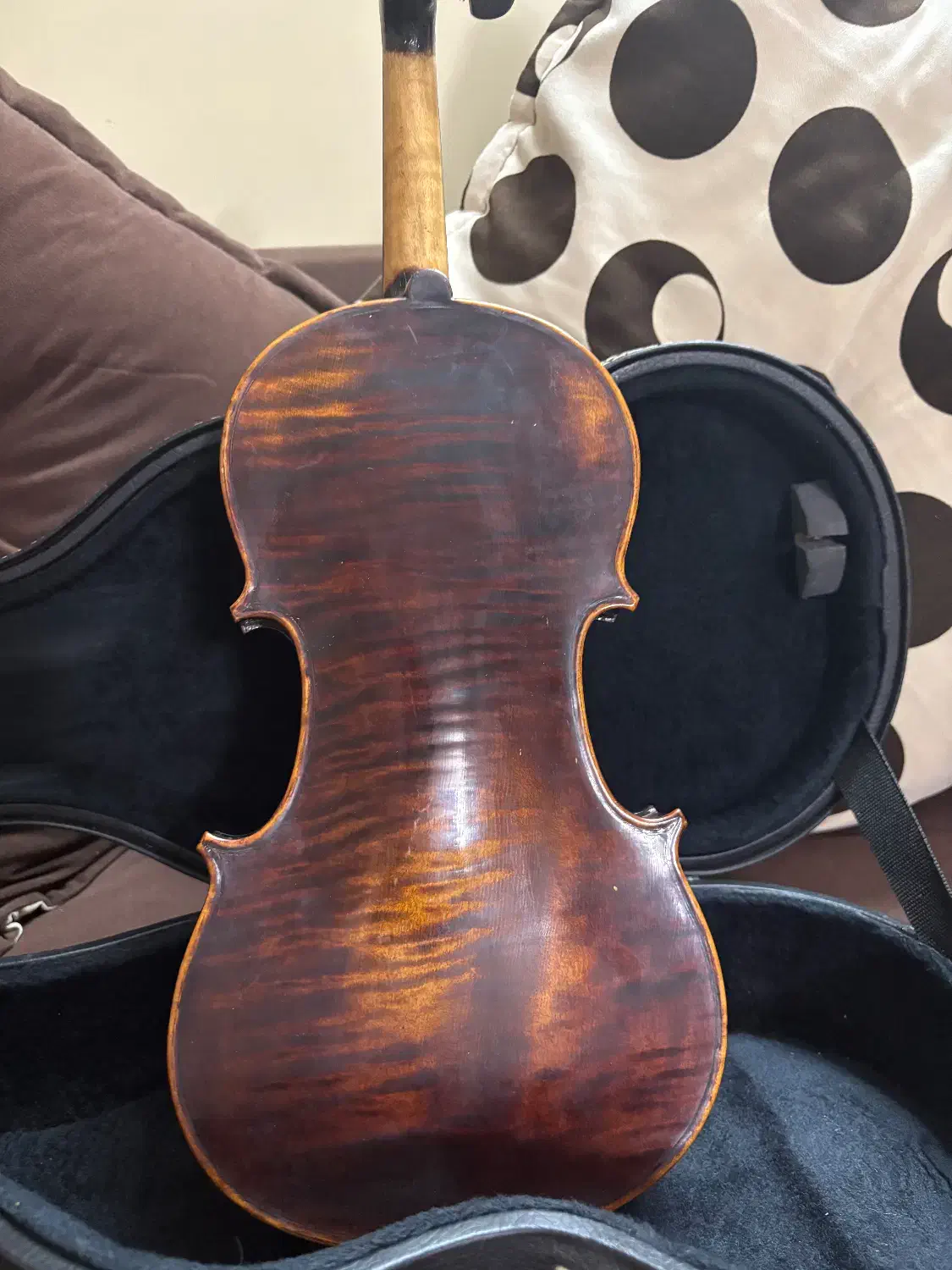 ویولن دست ساز ایتالیایی|ویولن|اصفهان, فیض|دیوار