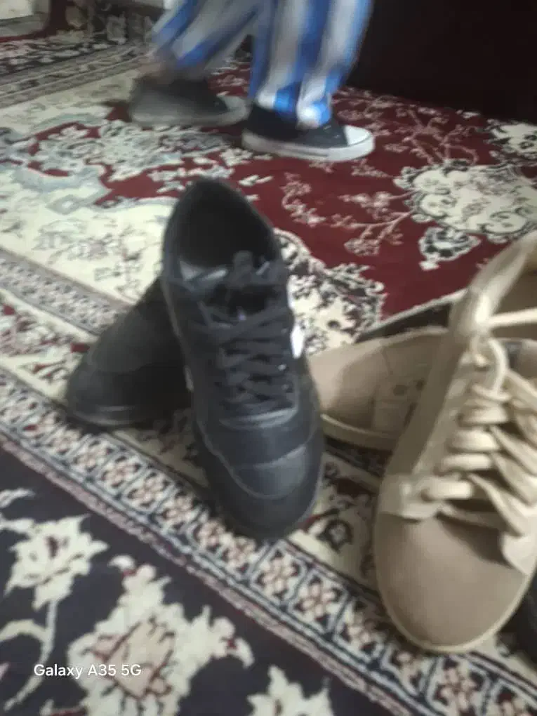 کفش مردانه و زنانه وبچه گانه زیرقیمت|کیف، کفش، کمربند|نجف‌آباد, یزدانشهر|دیوار