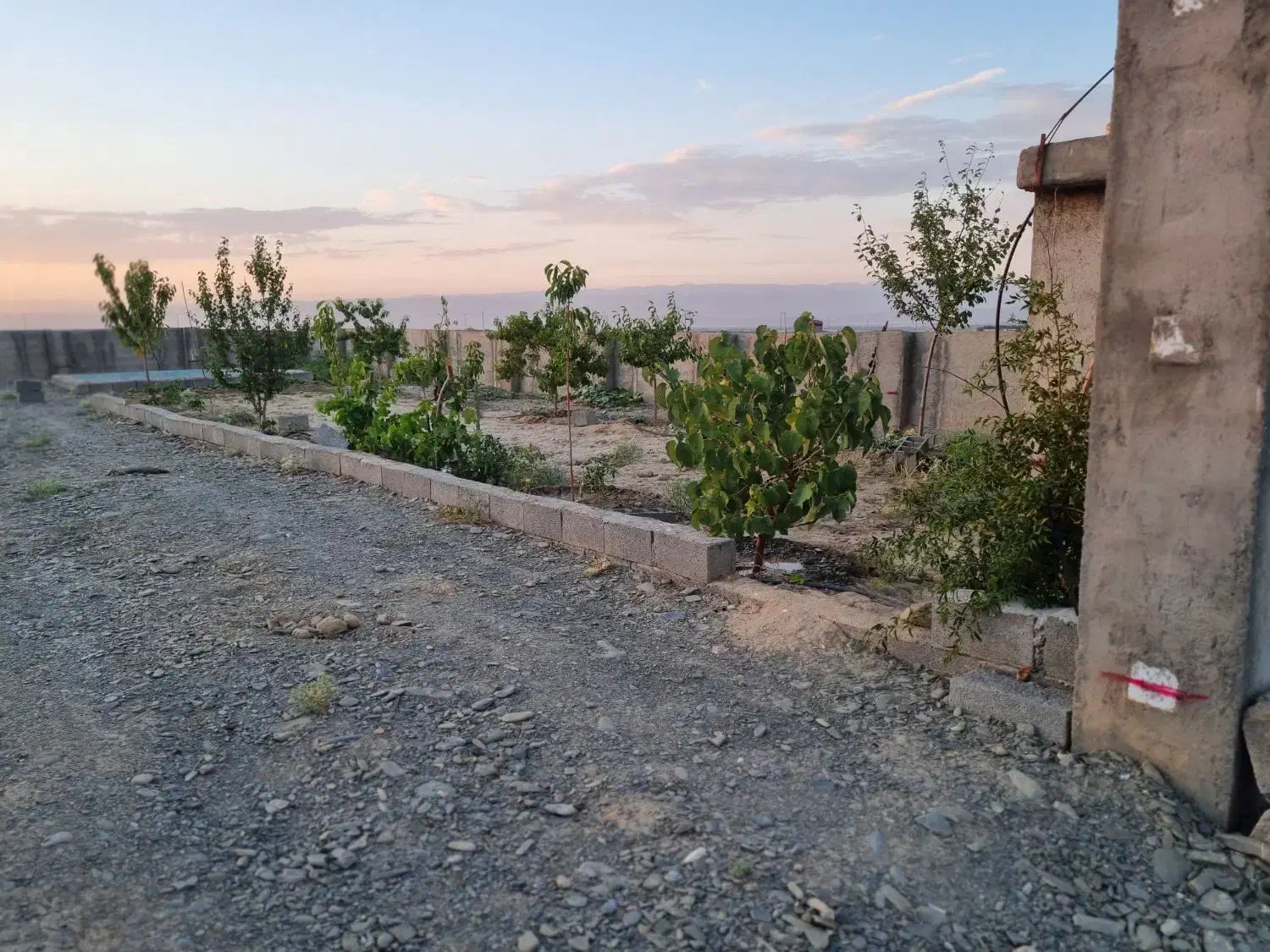 زمین ۵۰۰ متری|فروش زمین و ملک کلنگی|مشهد, کوشش|دیوار