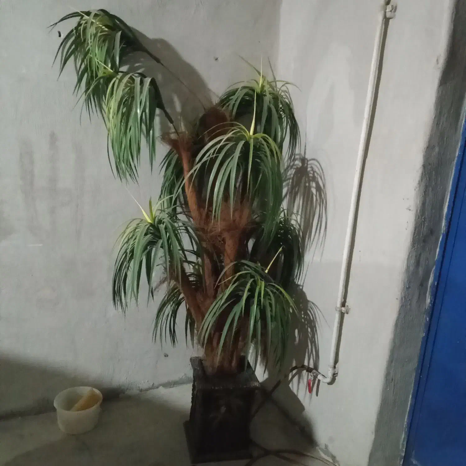 گاری چهار چرخ و درختچه|گل مصنوعی|امیدیه, |دیوار