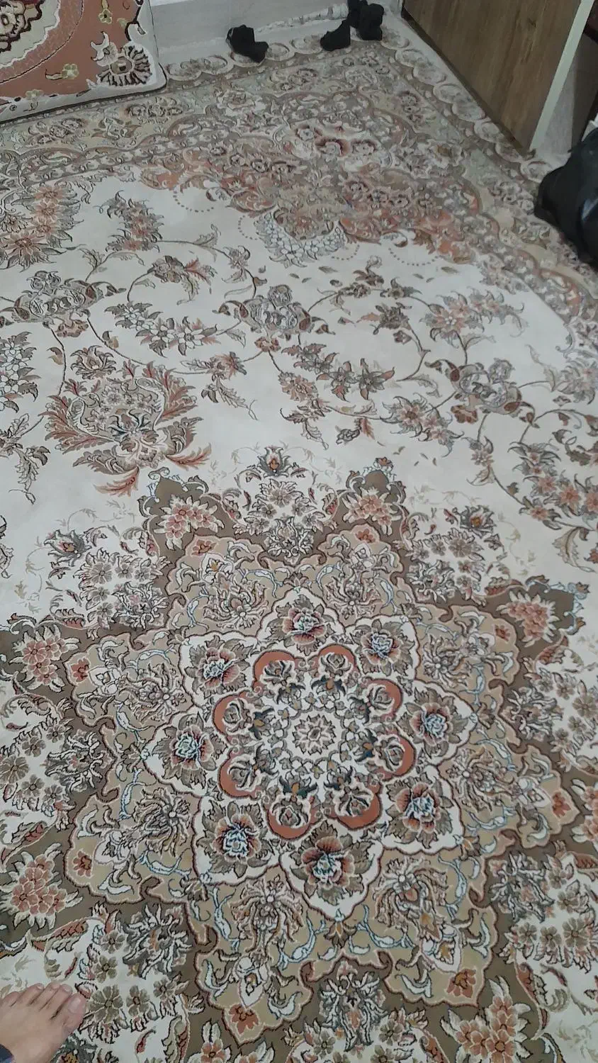 فرش ۳در۴ کاشاندرحد نو|فرش|نیشابور, شهرک بسیج|دیوار