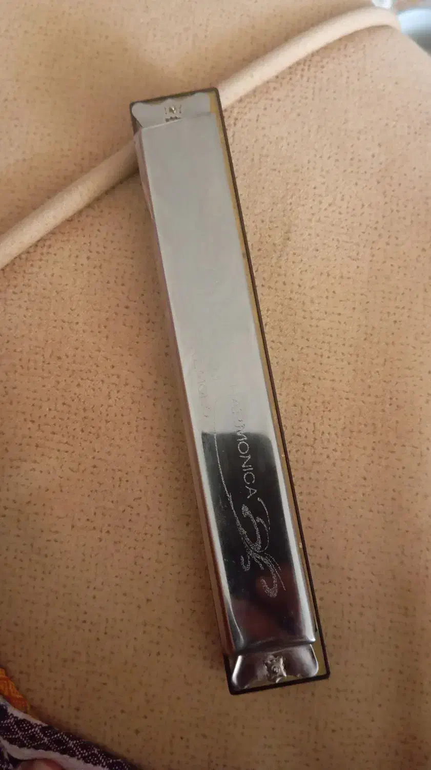 ساز دهنی|سازهای بادی|سبزوار, همت|دیوار