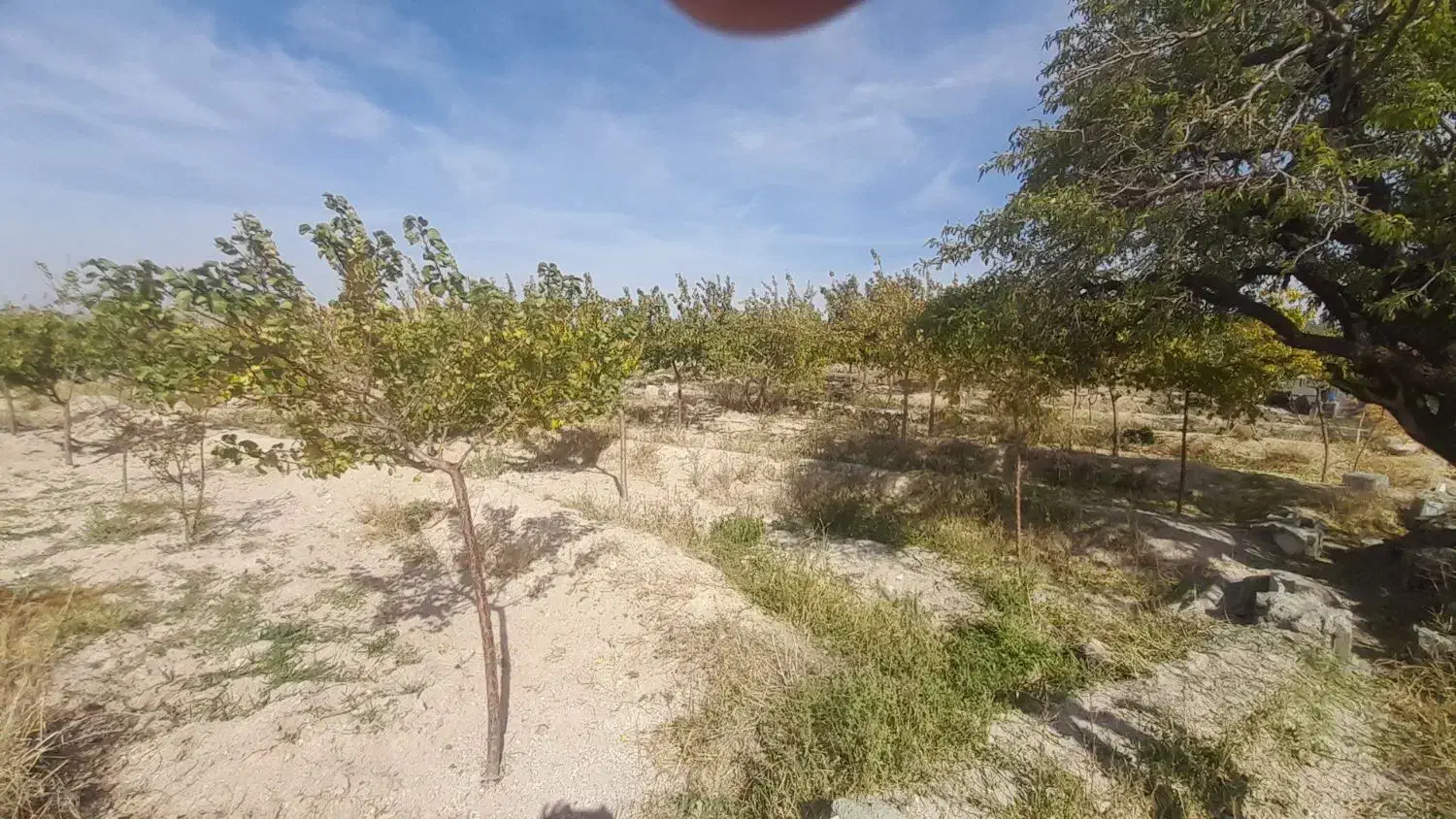 فوری|فروش دفتر صنعتی، کشاورزی، تجاری|اسکو, |دیوار