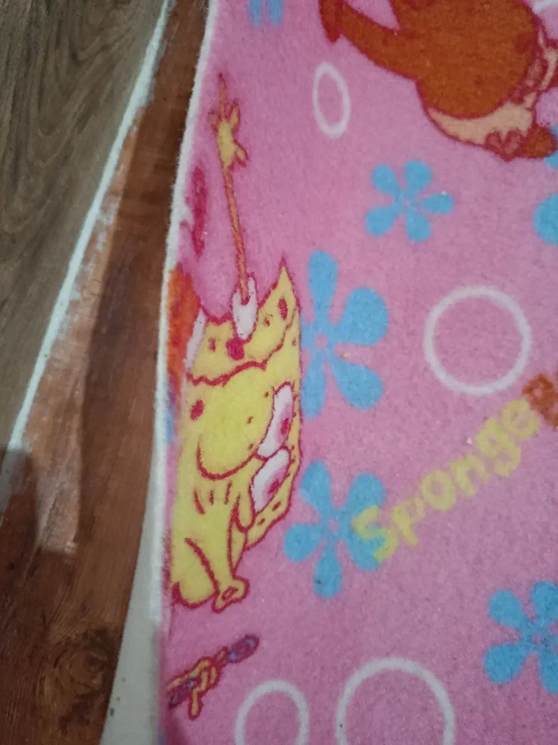 موکت باب اسفنجی سالم|موکت|بروجرد, |دیوار