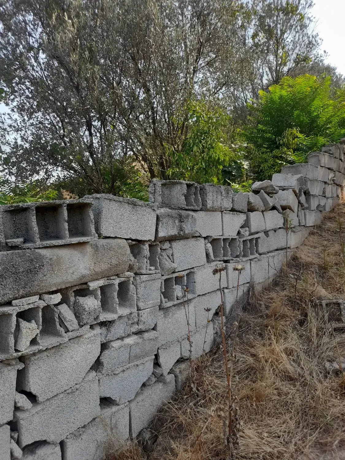 باغچه 150 متر مربع در روستای توشن  گرگان|فروش زمین و ملک کلنگی|گرگان, |دیوار