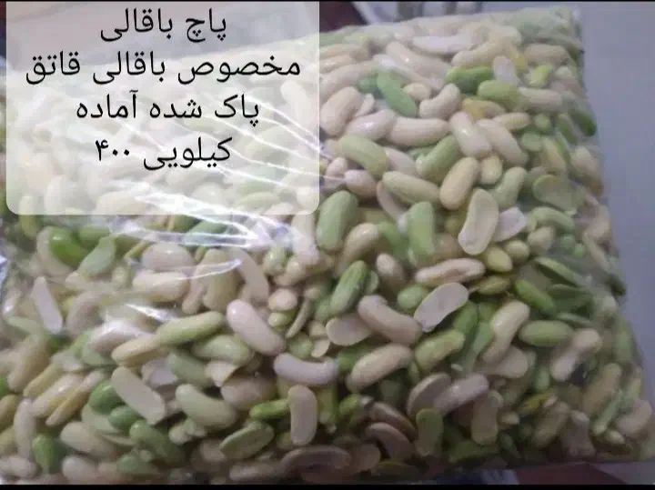 پاچ باقالی|خوردنی و آشامیدنی|رشت, نیروی دریایی|دیوار