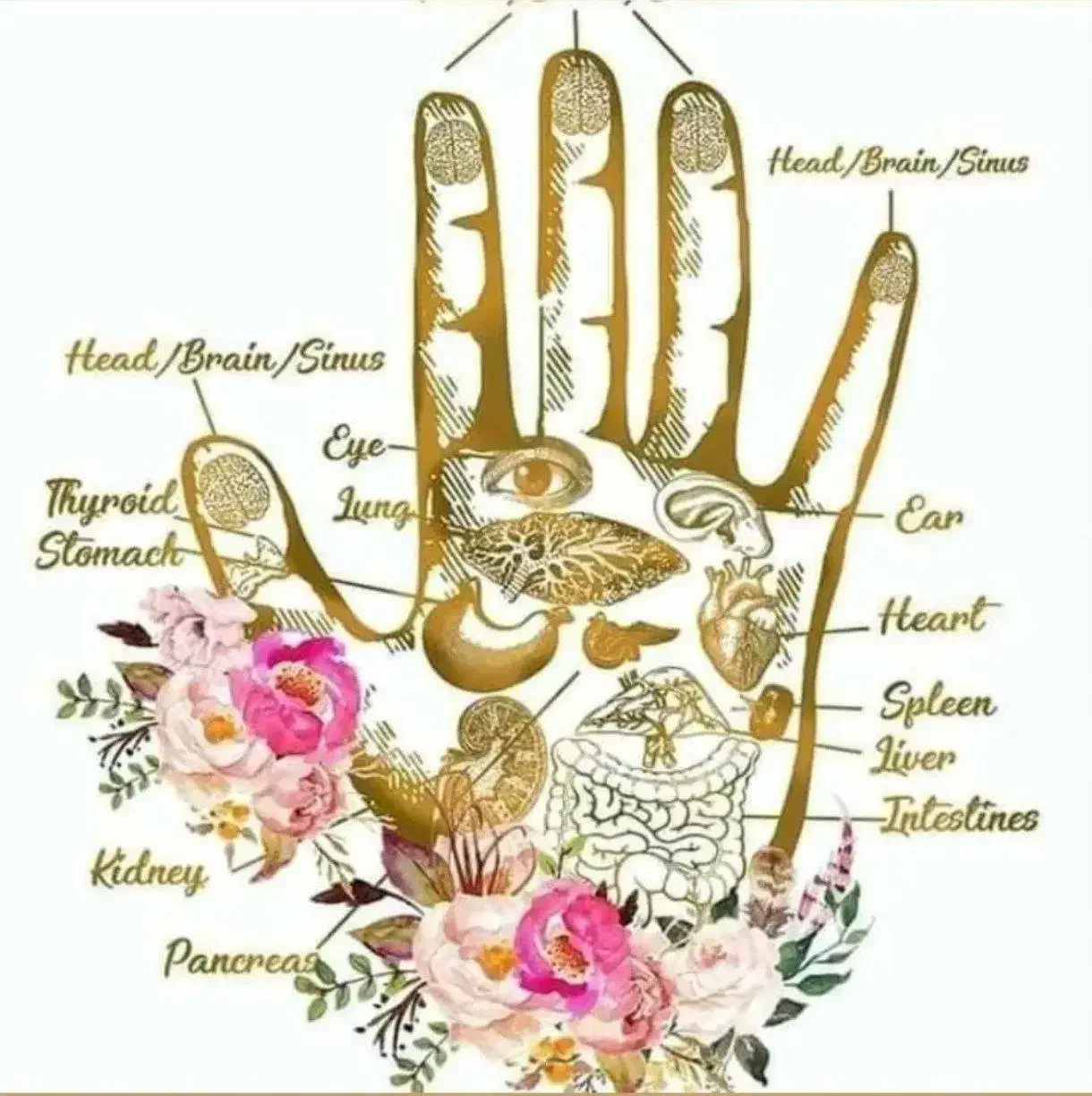 مشاوره و فروش وسایل ماساژ|پزشکی|نیشابور, شهرک قدس|دیوار