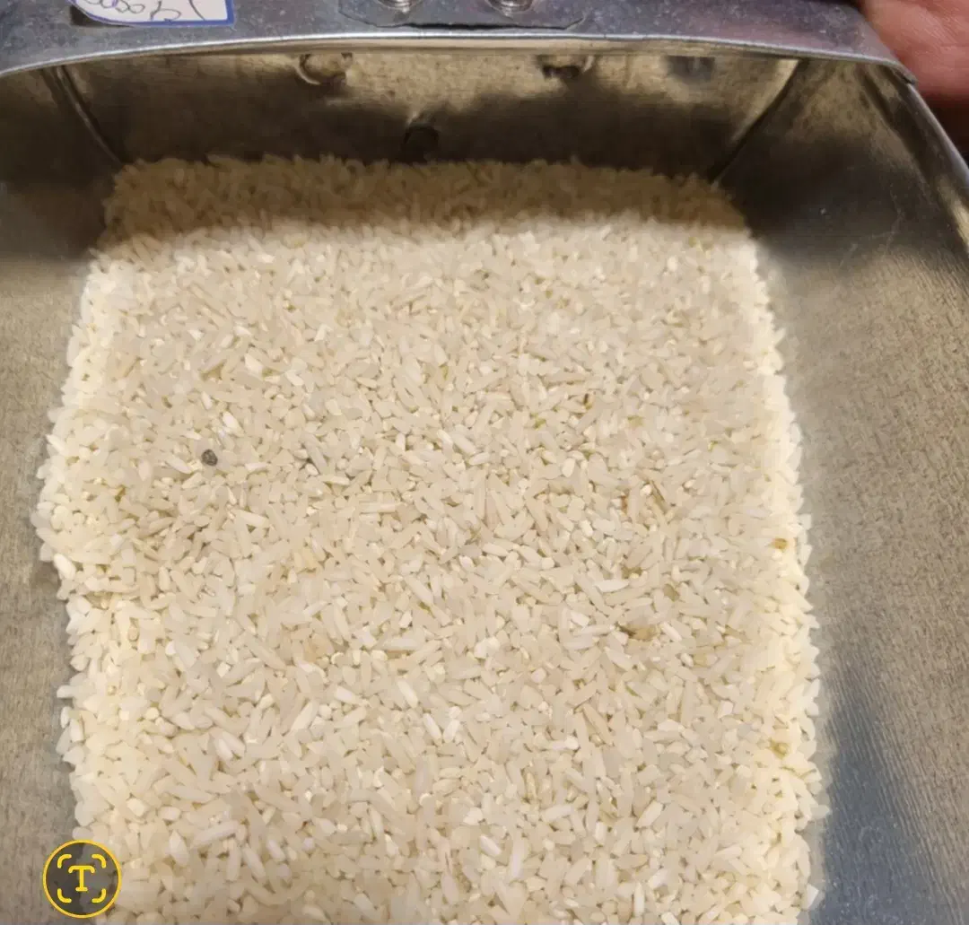 برنج لاشه هاشمی|خوردنی و آشامیدنی|رشت, استادسرا|دیوار