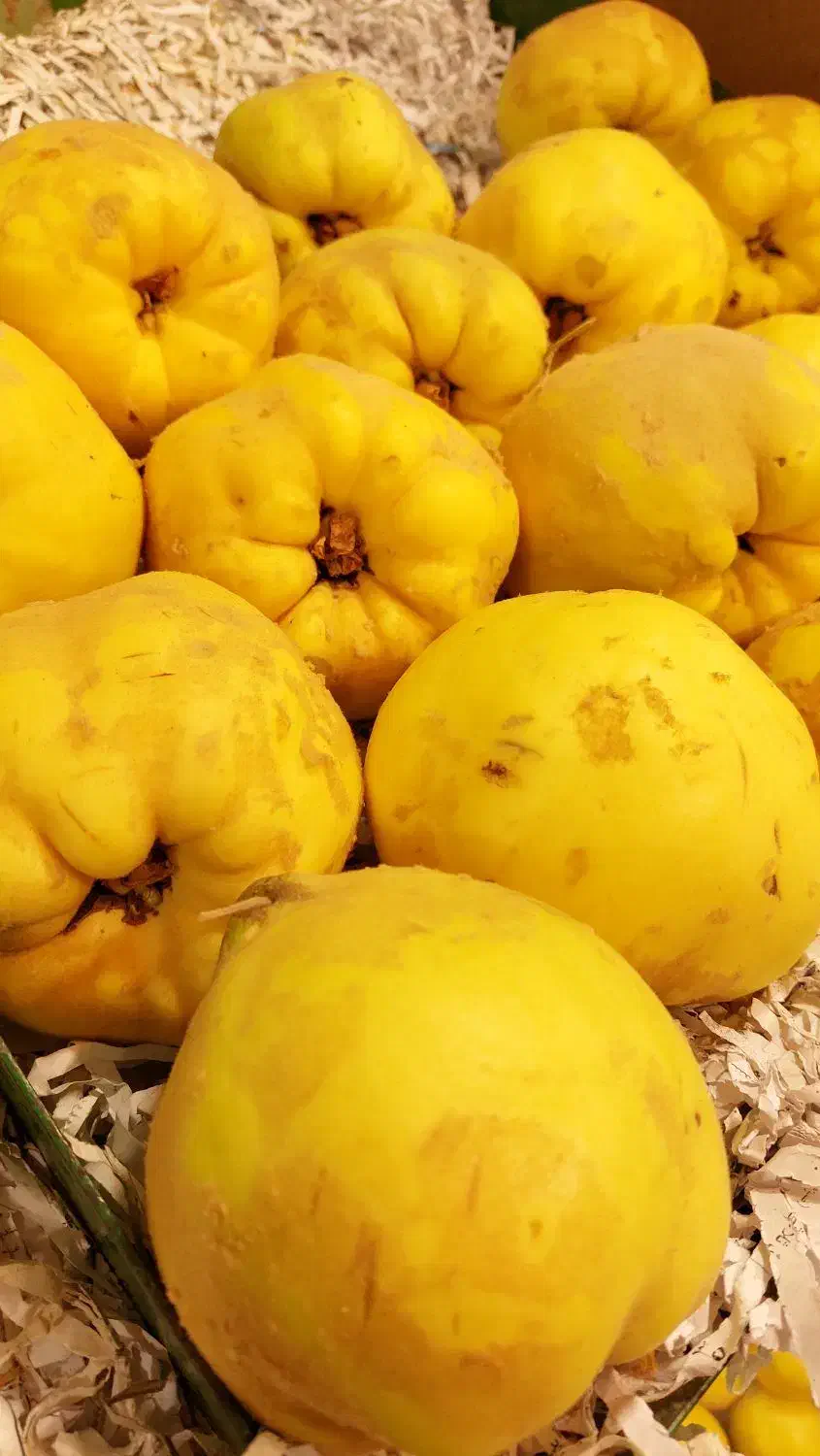 بِه اصفهان خوش عطر و طعم + هایپر میوه گلچین|خوردنی و آشامیدنی|شاهدشهر, |دیوار