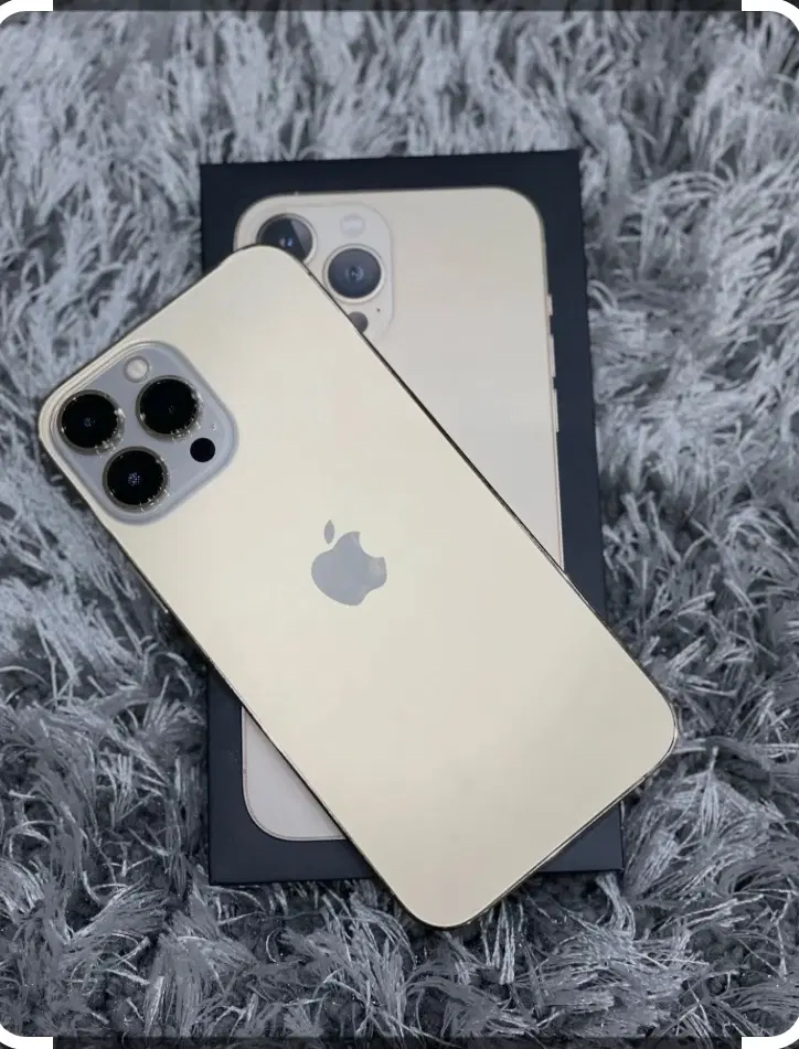 iPhone13promax Gold|موبایل|کرج, کوی مدرس|دیوار