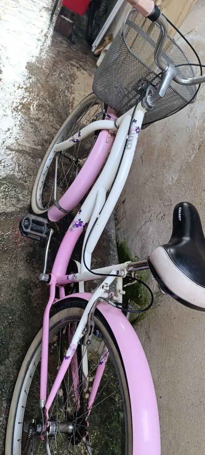 دوچرخه در حد صفر|دوچرخه، اسکیت، اسکوتر|رشت, جانبازان|دیوار