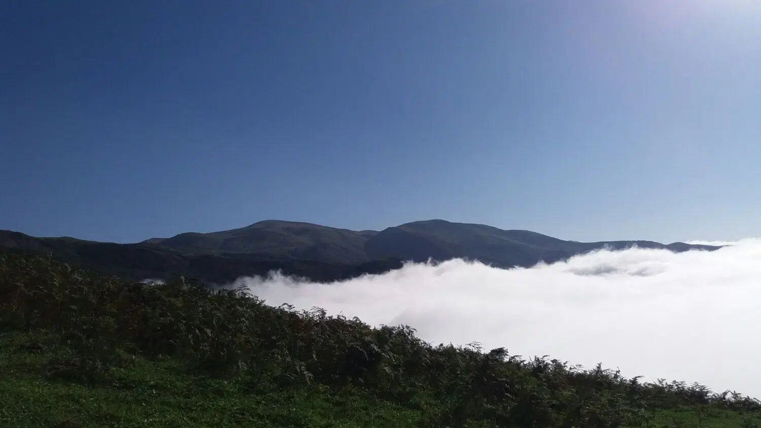 طبیعت گردی داوطلبانه|فعالیت داوطلبانه|املش, |دیوار