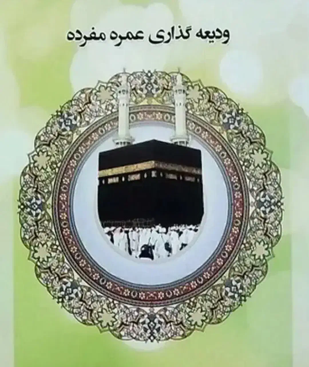 فیش عمره مفرده|تور و چارتر|بیرجند, |دیوار