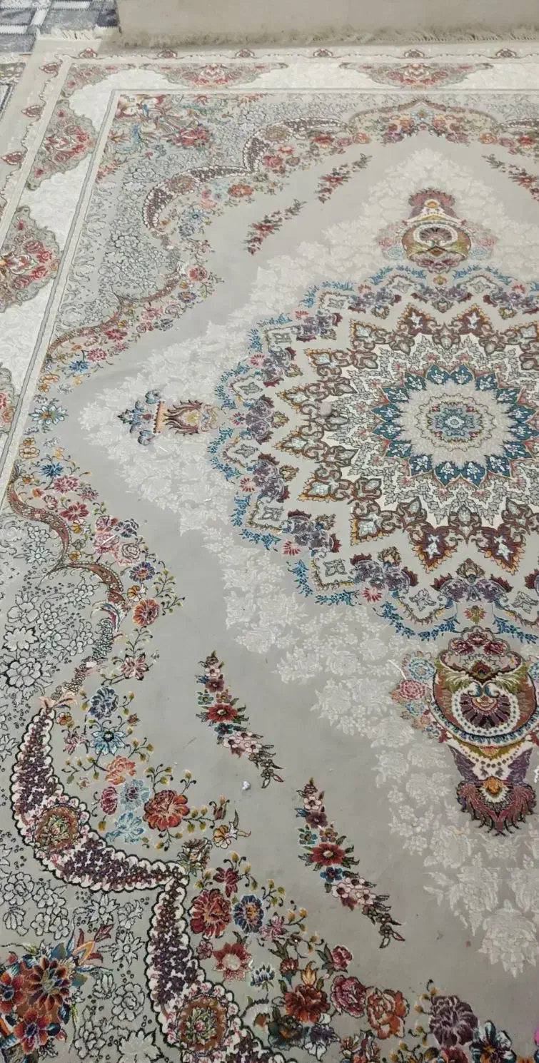 فرش نخی دست باف هیوا 700شانه|فرش|بندر گناوه, |دیوار