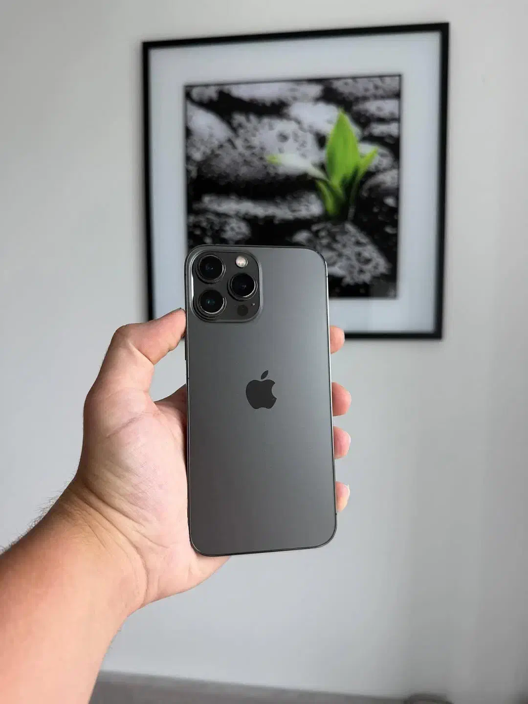 13 promax|موبایل|جیرفت, |دیوار