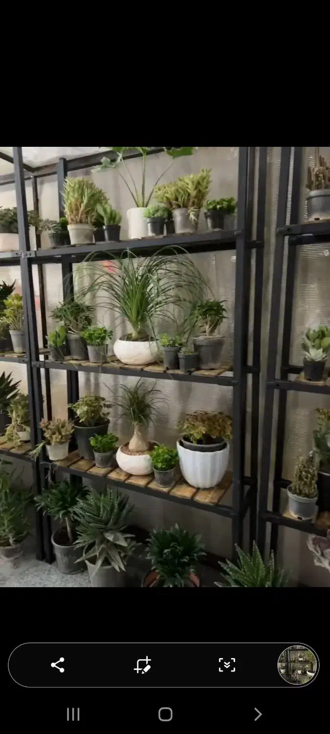 قفسه پروفیل اهن با رنگ کوره ایی|کتابخانه، شلف، قفسه‌های دیواری|تهران, حکیمیه|دیوار