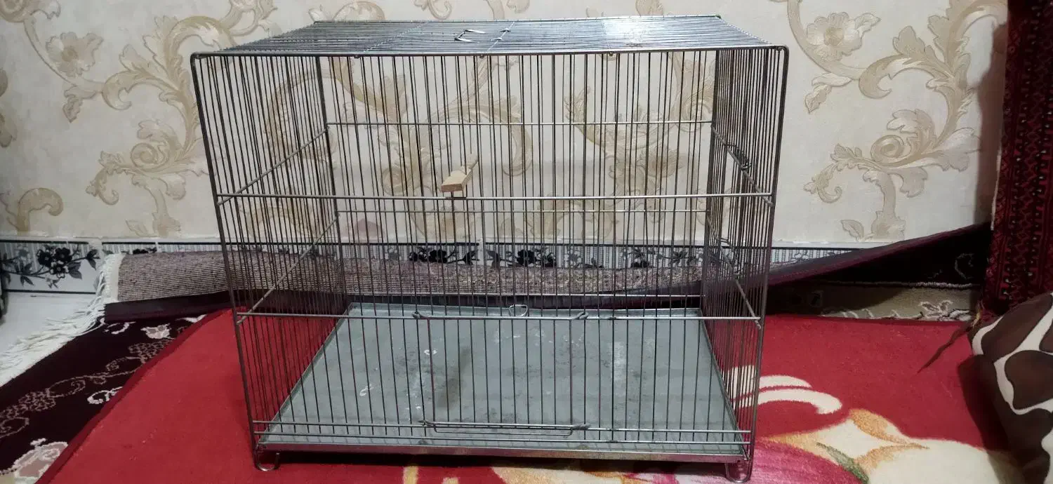 قفس پرنده|لوازم جانبی حیوانات|ایلام, |دیوار