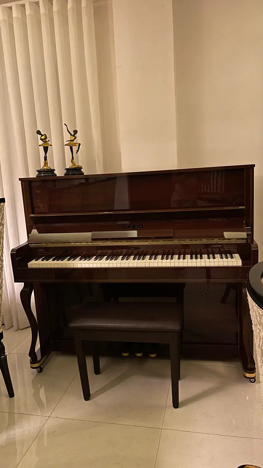 پیانو دیجیتال کاسیو طرح آکوستیک|پیانو، کیبورد، آکاردئون|رشت, دیلمان|دیوار
