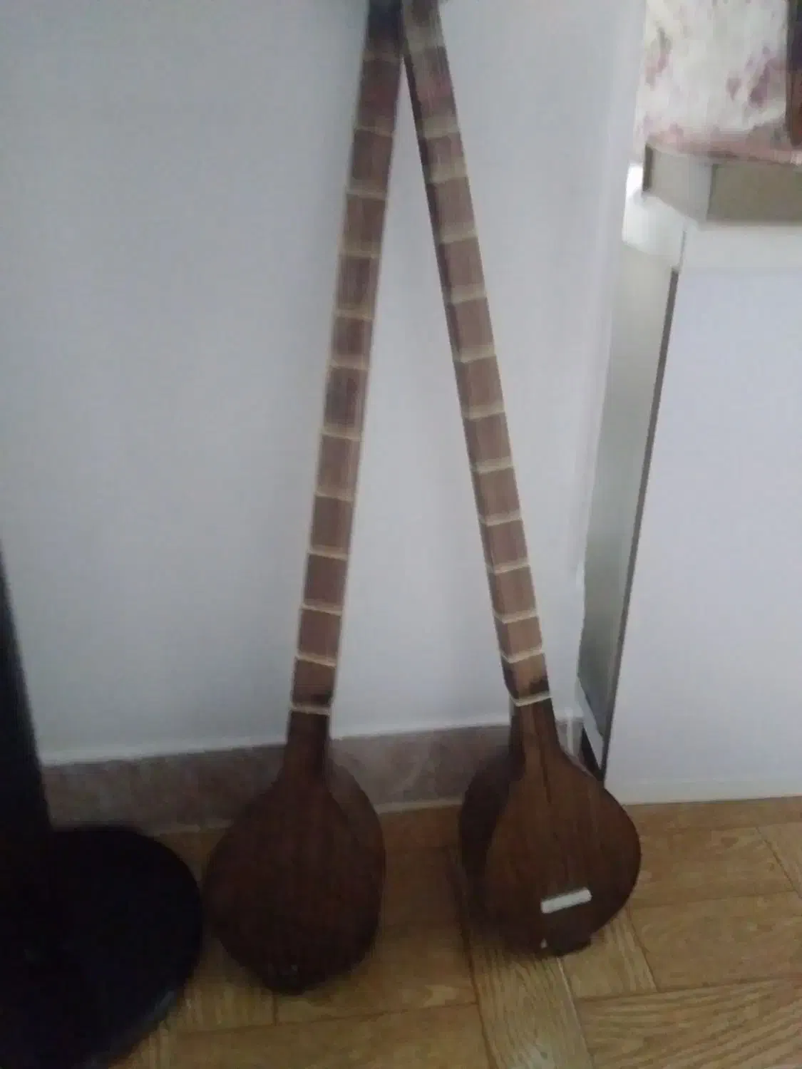 ستار سالم نو|سازهای سنتی|رشت, کاکتوس|دیوار