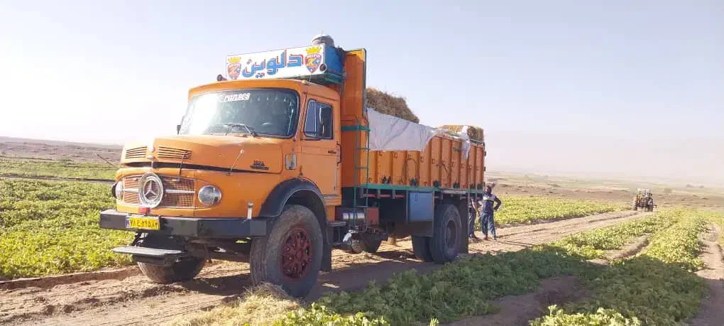 بنز تک باری|خودرو سنگین|ششده و قره بلاغ, |دیوار