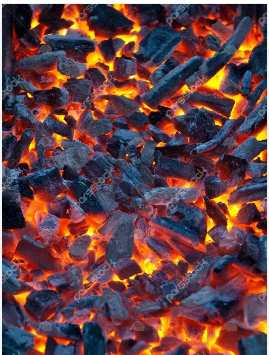 فروش انواع زغال عمده و تکی|کافیشاپ و رستوران|بهارستان, |دیوار