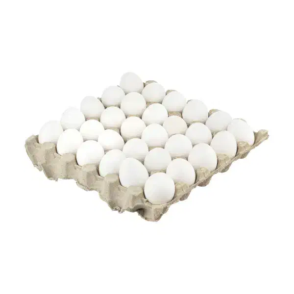 تخم مرغ سفید|حیوانات مزرعه|تهران, شهرک علم و فناوری|دیوار