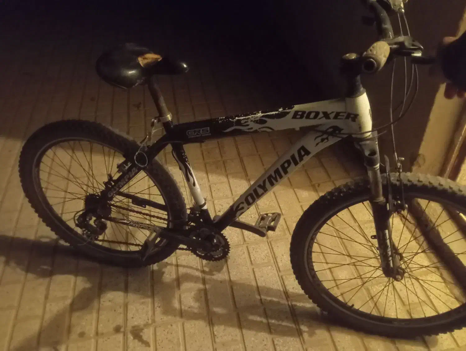 دوچرخه 26|دوچرخه، اسکیت، اسکوتر|تایباد, |دیوار