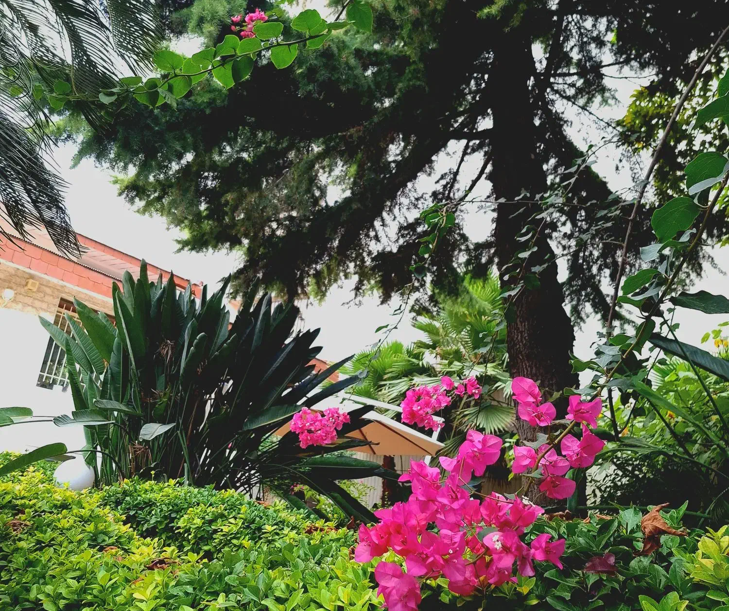 منشی ، دستیار|استخدام اداری و مدیریت|تنکابن, |دیوار