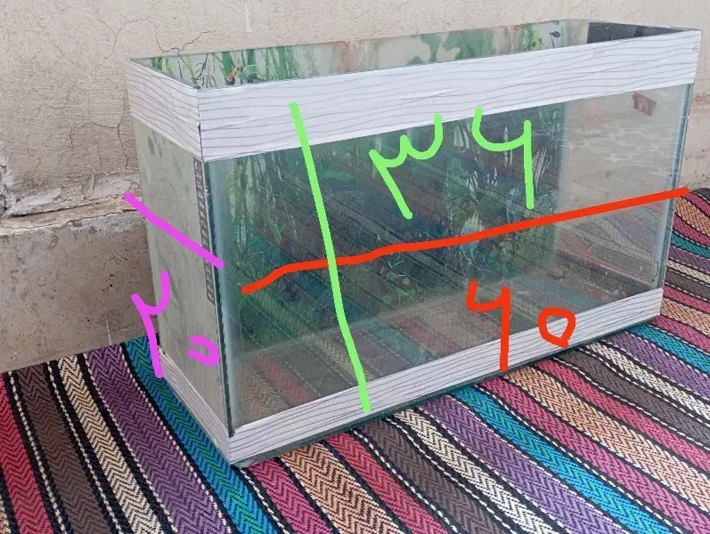 اکواریوم|ماهی|قم, پردیسان|دیوار