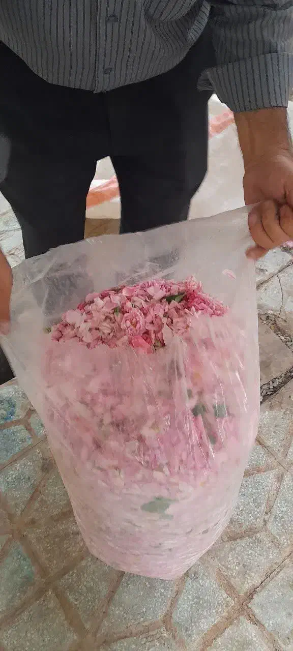 عرقیجات سنتی|عمده‌فروشی|مشکین‌دشت, |دیوار