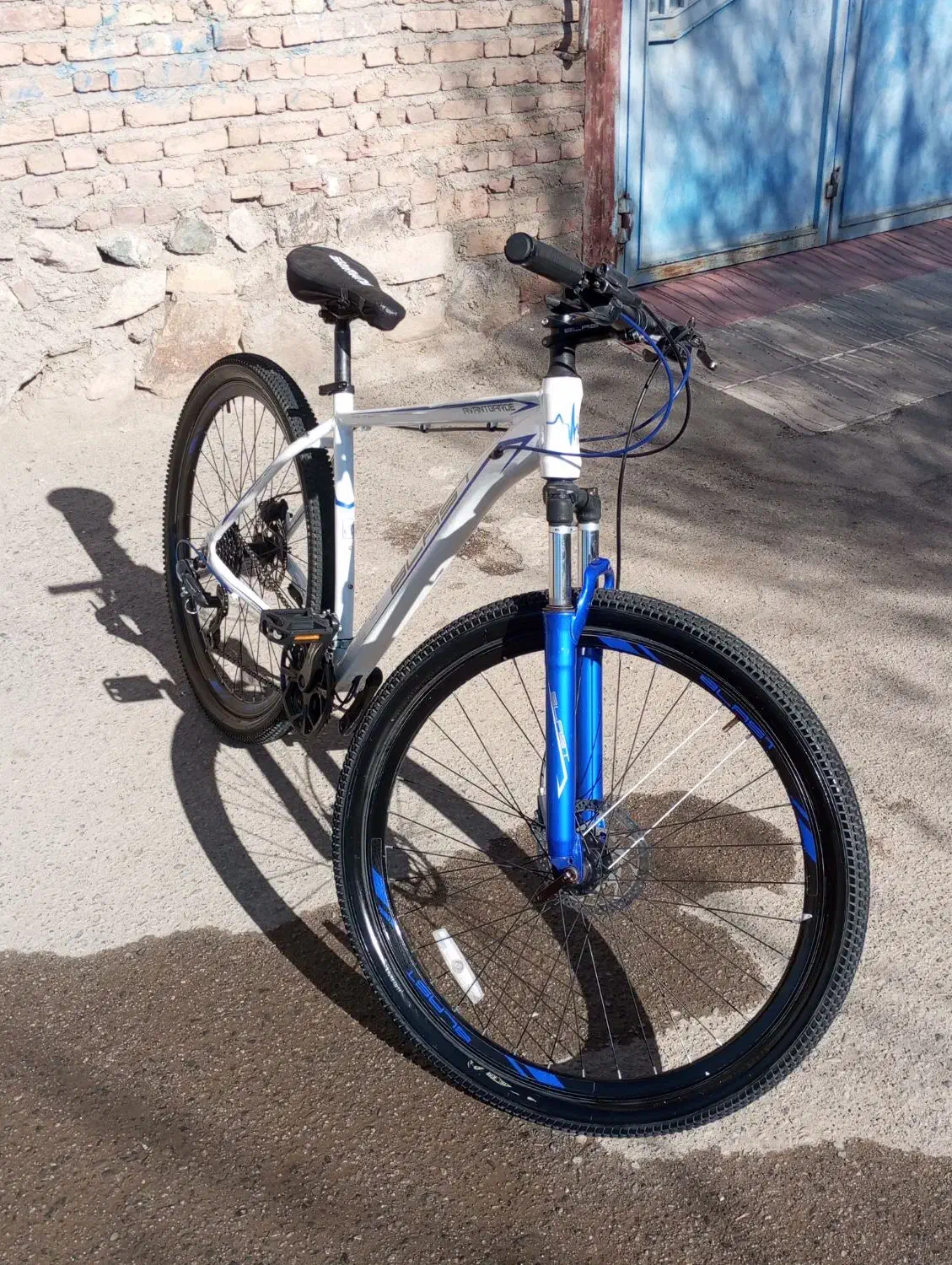 دوچرخه 29 بلست|دوچرخه، اسکیت، اسکوتر|اهر, |دیوار