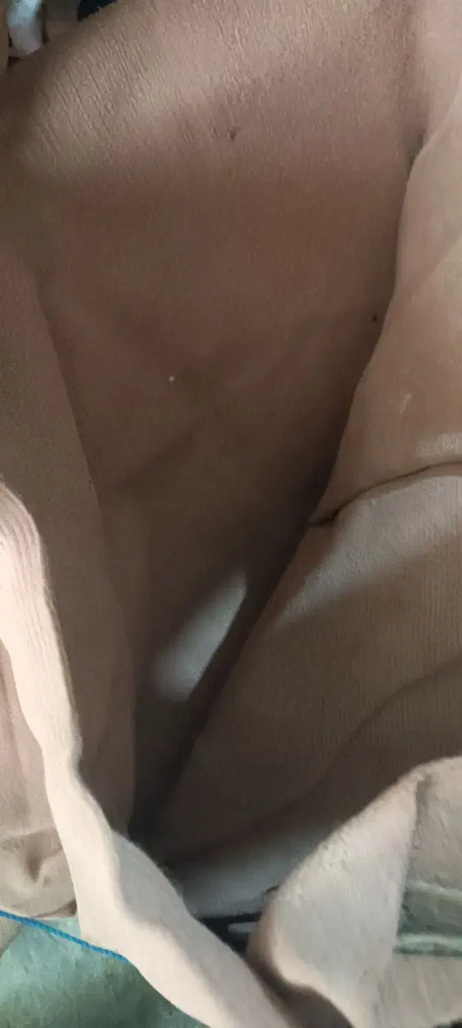 موکت|موکت|رشت, پل تالشان|دیوار