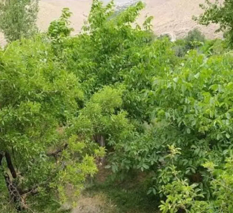 واحد مسکونی درشهرک قائم|فروش آپارتمان|فرمهین, |دیوار