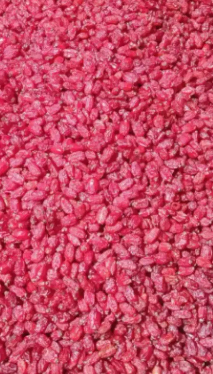 زرشک|خوردنی و آشامیدنی|شیراز, ملاصدرا|دیوار
