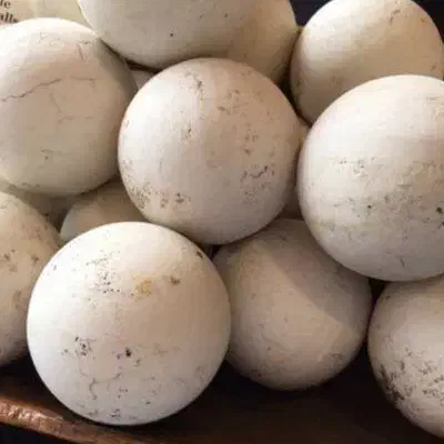 سنگ الماس آسیاب طبیعی|کلکسیون اشیاء عتیقه|بهارستان, |دیوار