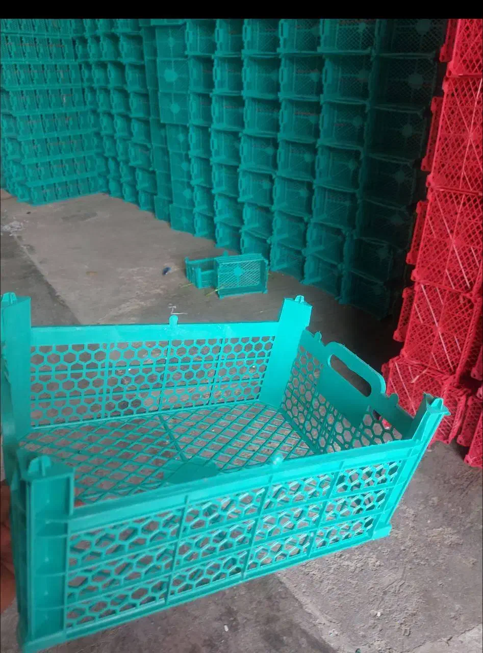 کارخانه سبدسازی|ظروف نگهدارنده، پلاستیکی، یکبارمصرف|محمدشهر, زیبادشت|دیوار